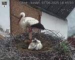 Capi_Dubne_20250607_184503.jpg