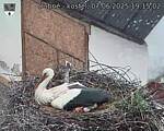 Capi_Dubne_20250607_191502.jpg