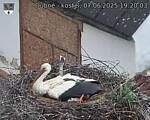 Capi_Dubne_20250607_192003.jpg