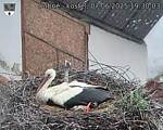 Capi_Dubne_20250607_193003.jpg