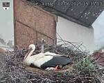 Capi_Dubne_20250607_193503.jpg