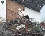 Capi_Dubne_20250607_195004.jpg