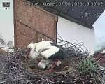 Capi_Dubne_20250607_195502.jpg