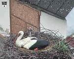 Capi_Dubne_20250607_200003.jpg