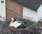 Capi_Dubne_20250607_204002.jpg
