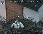 Capi_Dubne_20250607_210503.jpg