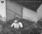 Capi_Dubne_20250607_211502.jpg