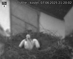 Capi_Dubne_20250607_212002.jpg