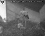 Capi_Dubne_20250607_213002.jpg