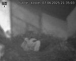 Capi_Dubne_20250607_213503.jpg