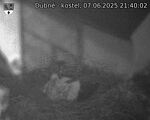 Capi_Dubne_20250607_214002.jpg