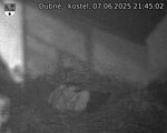 Capi_Dubne_20250607_214502.jpg