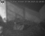 Capi_Dubne_20250607_222003.jpg
