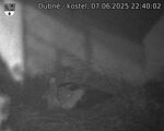 Capi_Dubne_20250607_224002.jpg