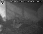 Capi_Dubne_20250607_230003.jpg