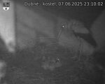 Capi_Dubne_20250607_231002.jpg