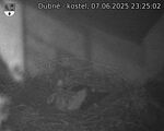 Capi_Dubne_20250607_232502.jpg