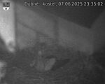 Capi_Dubne_20250607_233502.jpg