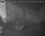 Capi_Dubne_20250607_234003.jpg