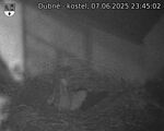 Capi_Dubne_20250607_234502.jpg