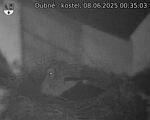Capi_Dubne_20250608_003503.jpg