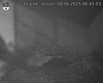 Capi_Dubne_20250608_004503.jpg