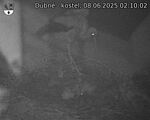 Capi_Dubne_20250608_021002.jpg