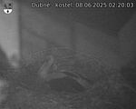 Capi_Dubne_20250608_022003.jpg