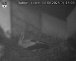 Capi_Dubne_20250608_041503.jpg