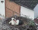 Capi_Dubne_20250608_100002.jpg