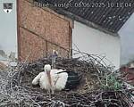 Capi_Dubne_20250608_101004.jpg