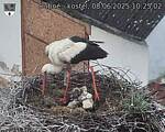 Capi_Dubne_20250608_102502.jpg
