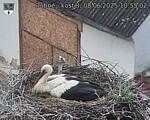 Capi_Dubne_20250608_105502.jpg