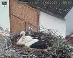 Capi_Dubne_20250608_110503.jpg
