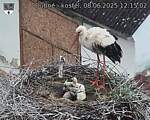 Capi_Dubne_20250608_121502.jpg