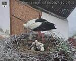 Capi_Dubne_20250608_122502.jpg