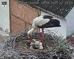 Capi_Dubne_20250608_123503.jpg