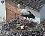 Capi_Dubne_20250608_131502.jpg
