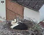 Capi_Dubne_20250608_140504.jpg