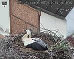 Capi_Dubne_20250608_141002.jpg