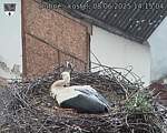 Capi_Dubne_20250608_141504.jpg