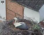 Capi_Dubne_20250608_142503.jpg