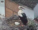 Capi_Dubne_20250608_144503.jpg
