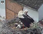 Capi_Dubne_20250608_145003.jpg