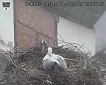 Capi_Dubne_20250608_155503.jpg