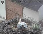 Capi_Dubne_20250608_160002.jpg