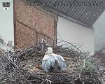 Capi_Dubne_20250608_160504.jpg
