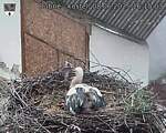 Capi_Dubne_20250608_161503.jpg