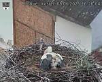 Capi_Dubne_20250608_162004.jpg