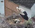 Capi_Dubne_20250608_165502.jpg
